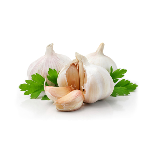 Laudantium furniture