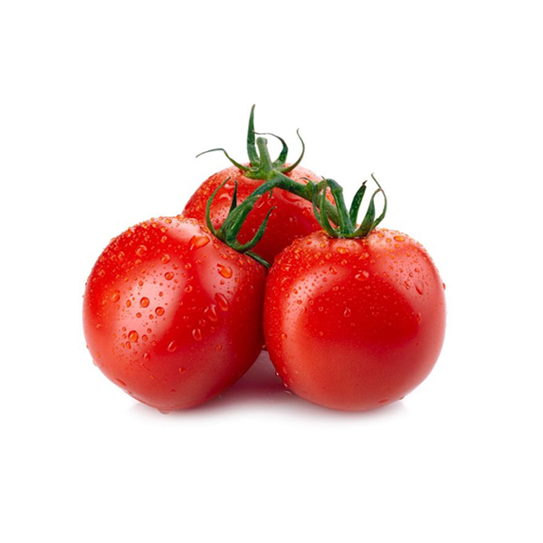 Duis pulvinar furniture